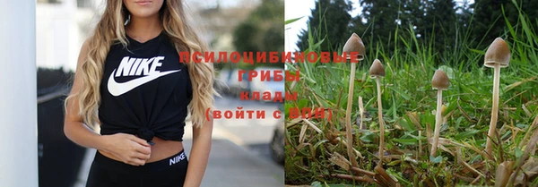 а пвп мука Костерёво